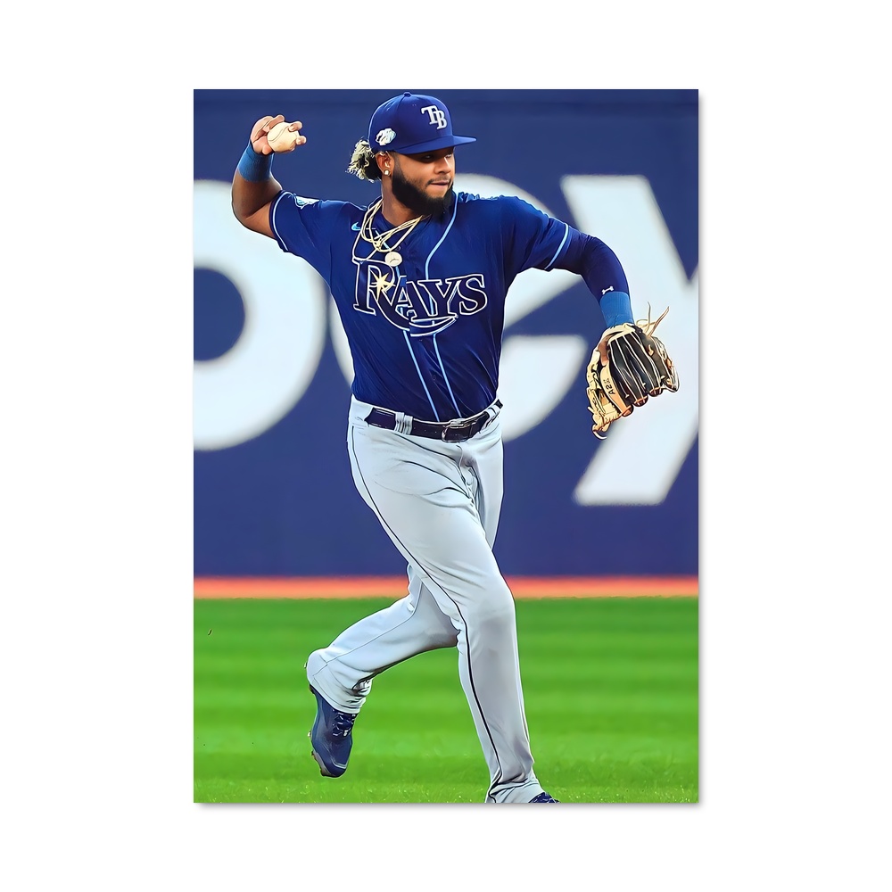 Poster Tampa bay rays